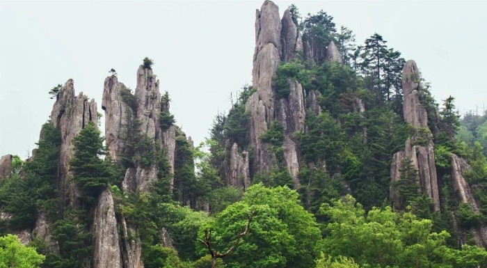 工合运动在凤县_工合运动_什么是工运史